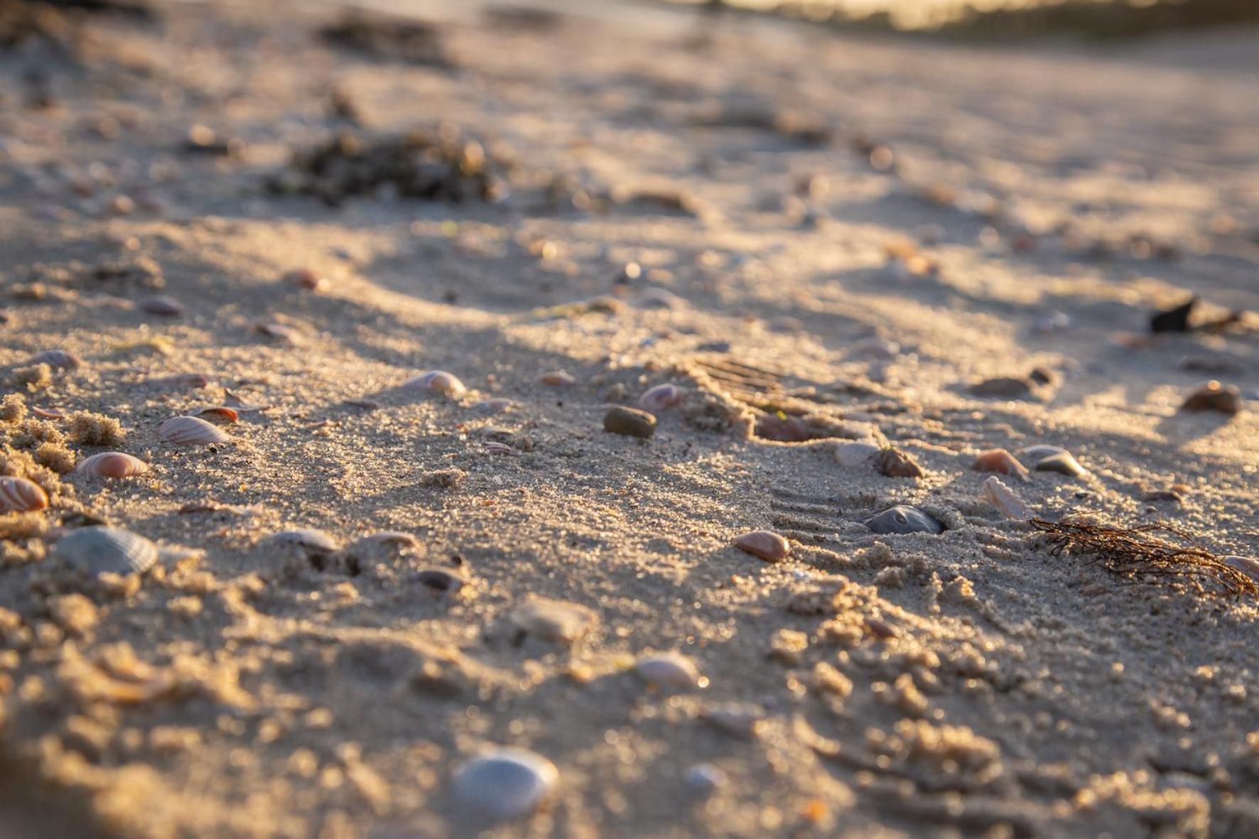 Wohnen Am Suedstrand - Ferienwohnung 0 4 Wyk auf Föhr Kültér fotó